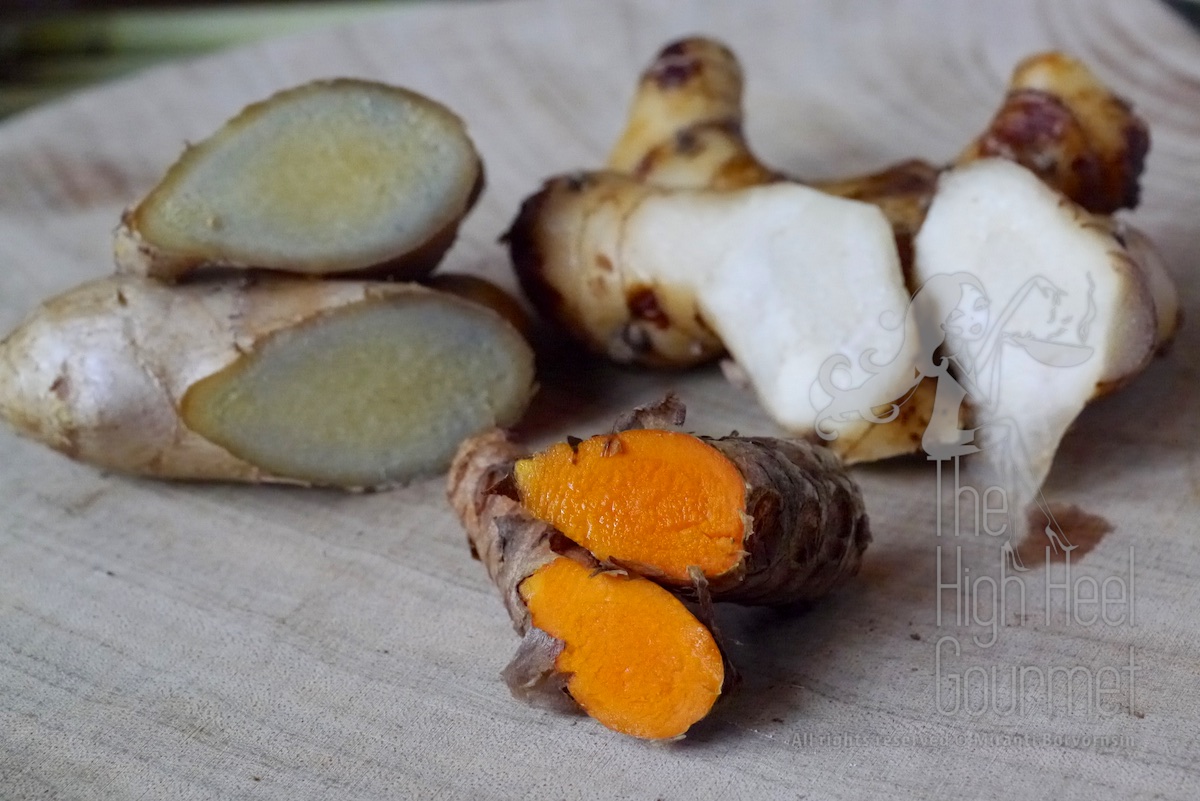 Compare the Turmeric with ginger and galangal.