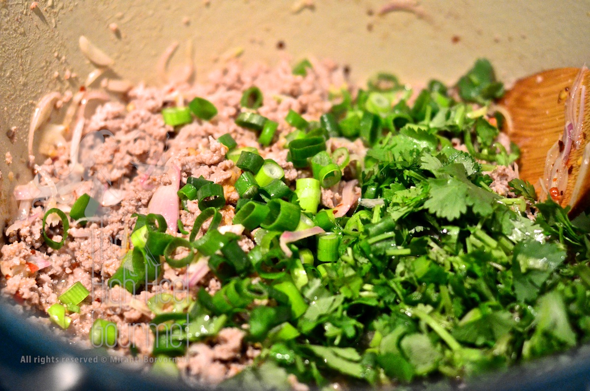 Thai Spicy Beef Salad Larb by The High Heel Gourmet 2